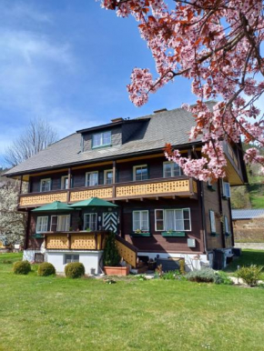 Appartement Steiner